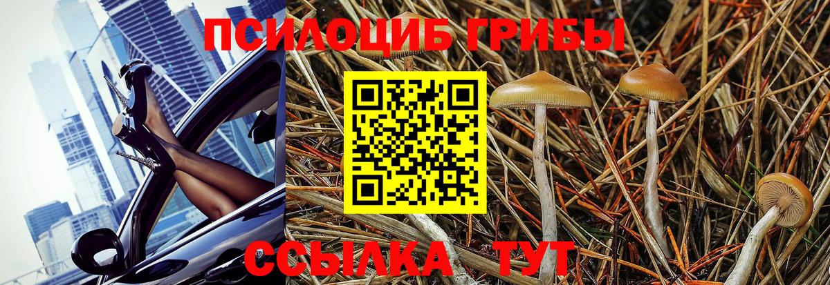 Галлюциногенные грибы ЛСД Кемерово