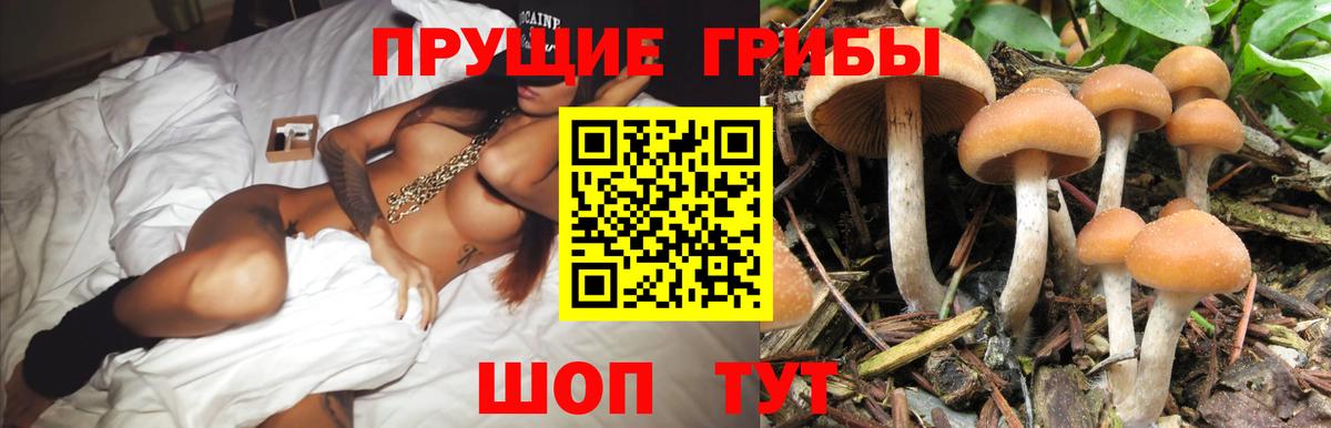 купить наркоту  Вход с VPN  Кемерово  Псилоцибиновые грибы ЛСД 